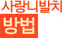 사랑니발치 방법