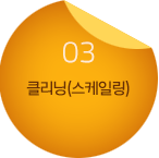 03.클리닝(스케일링)